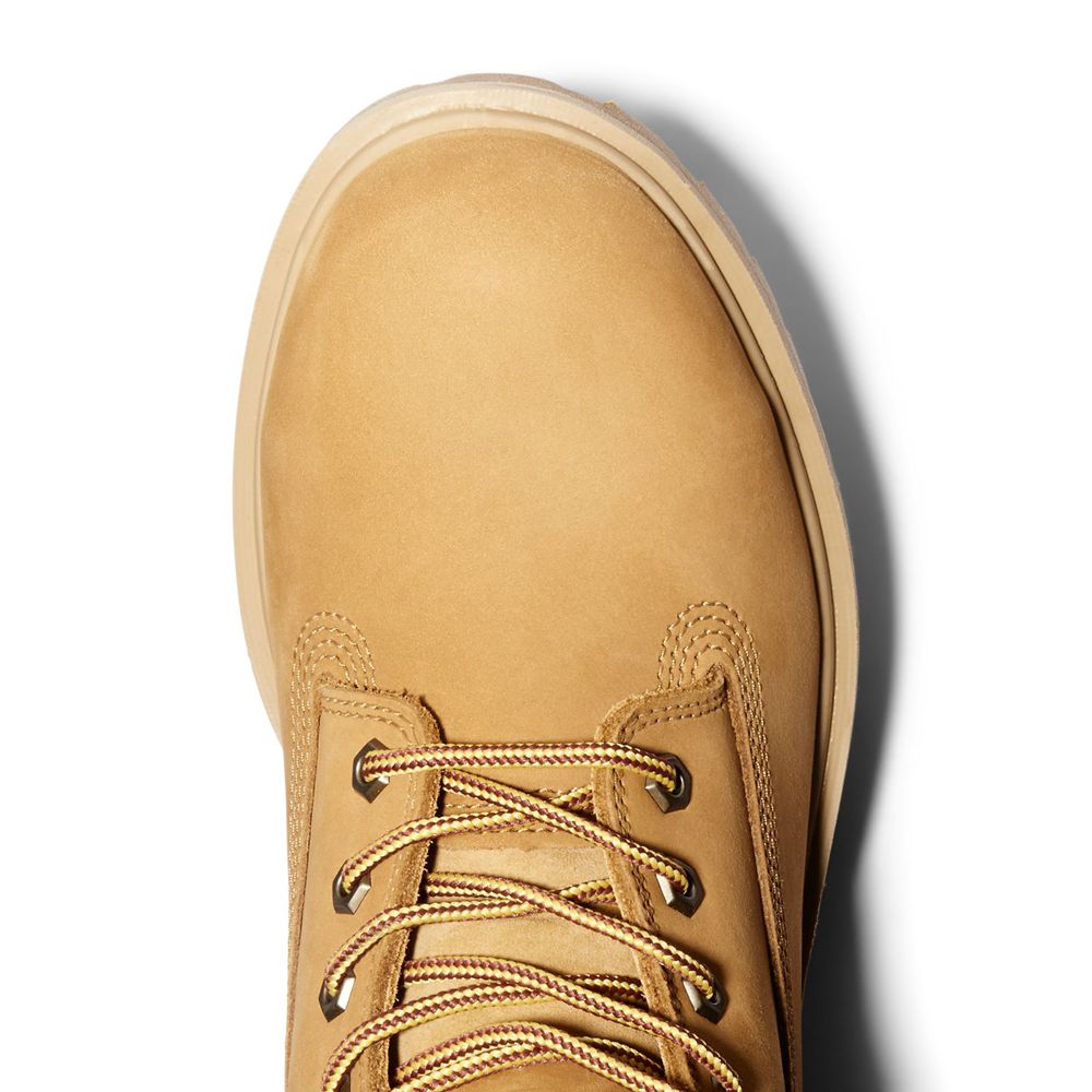 Botas Masculino - Timberland Pro Direct Attach 6\" Steel Toe - RLHZN6498 - Marrom